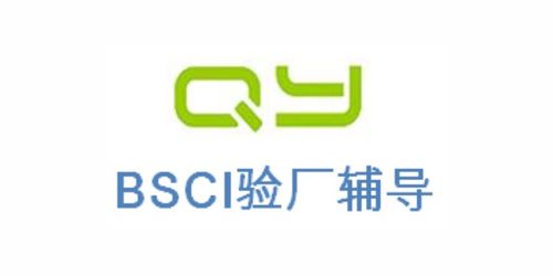 ICS驗廠2021全面解讀與上海傾禹企業(yè)管理咨詢的專業(yè)服務(wù)推薦